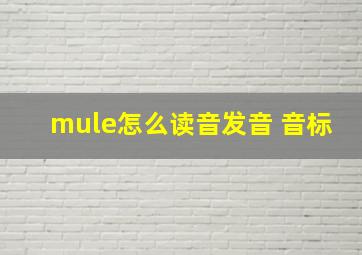 mule怎么读音发音 音标